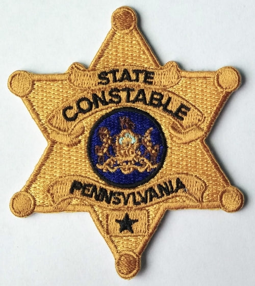 PSC Gold Six Point Star Badge