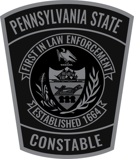 12" Vinyl Constable Patch