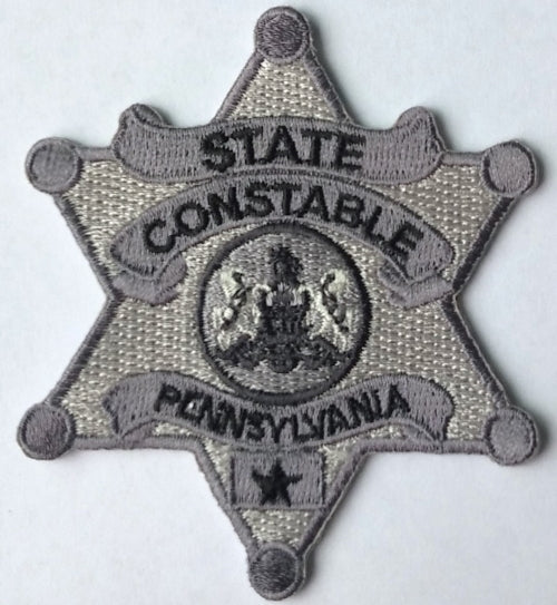 PSC Subdued Six Point Star Badge