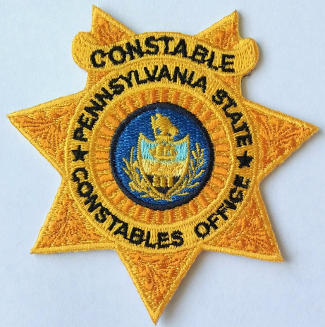 PSC Gold Seven Point Badge